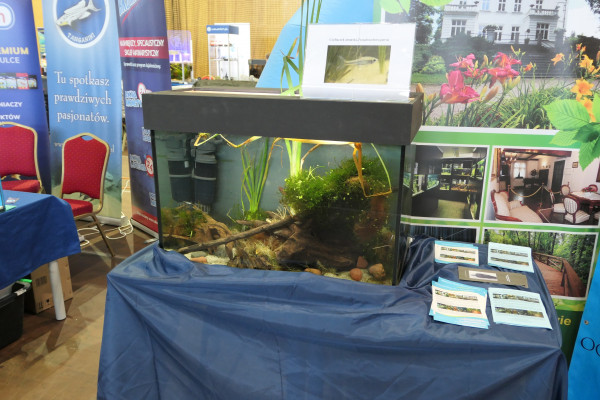 2019 - Aqua Silesia - Wystawa - Zdjęcie 073 - Muzeum Przyrody w Drozdowie.JPG