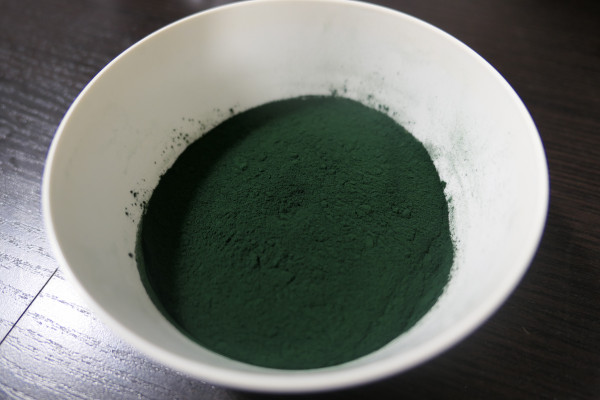 5. Spirulina.JPG