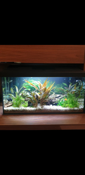 Photos.jpg (1.24 MiB) Przejrzano 10239 razy Aqua przed restartem