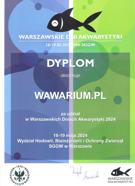 dyplom 2024.jpg