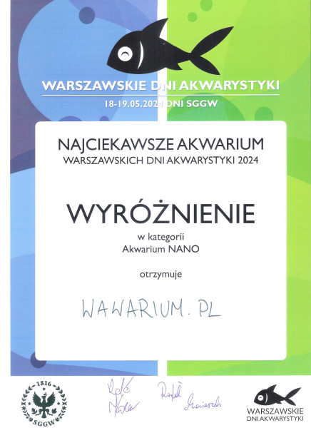 N4-ahr.jpg