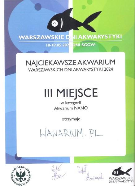 N6-Psyho.jpg