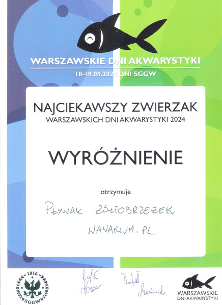 Pływak.jpg