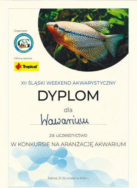 ŚWA 2024_Wawarium.png