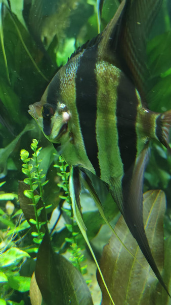 IMG20241121190853.jpg