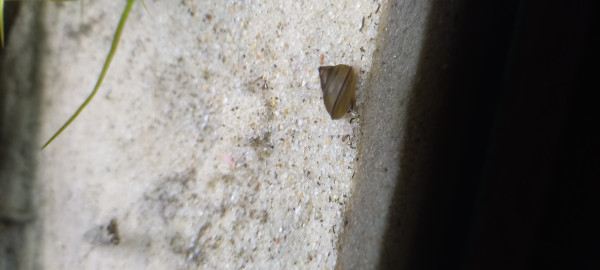20250212_131951.jpg