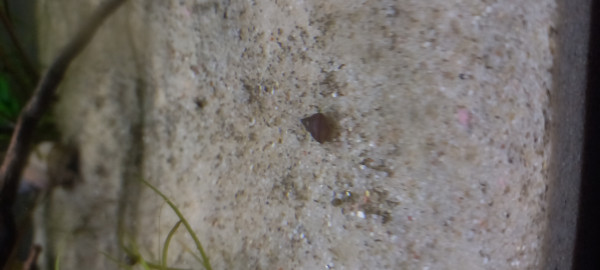 20250212_132031.jpg
