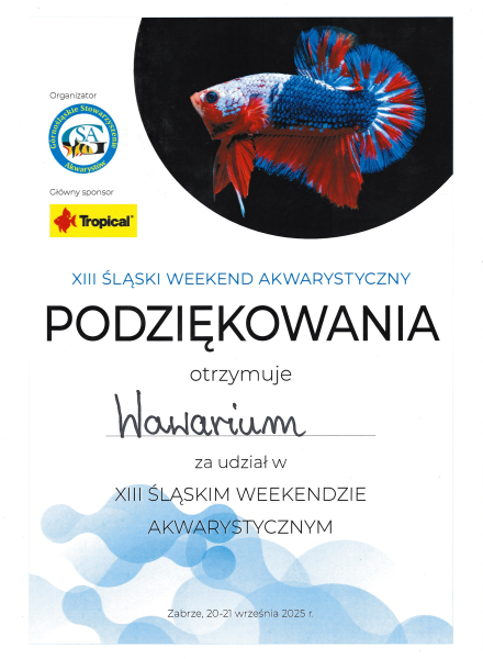 ŚWA_2025_dyplom.png