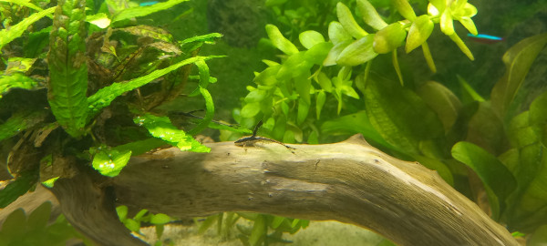 20260424_174033.jpg