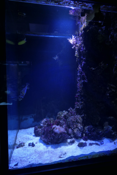 2019 - Oceanika - Zdjęcie 058.JPG