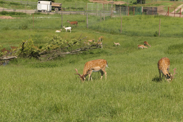 III Akwarystyczny Spływ Kajakowy - Ukta - 21-23.06.2019 - Zdjęcie 37.JPG